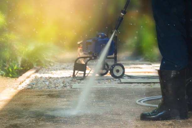 Best Roof Cleaning and Mildew Removal in Black Creek, WI